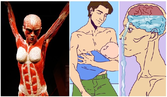 10 překvapujících faktů o lidském těle. Málokdo ví, jak tajemný systém to všichni máme Náhledový obrázek