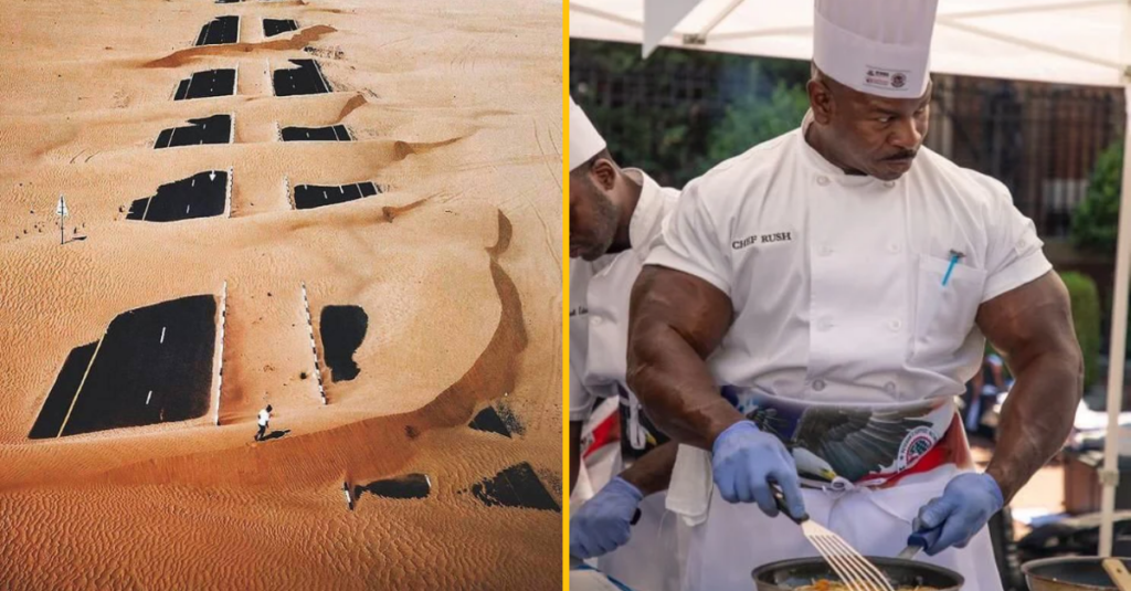 40+ obrázků, kterými dokonale zabiješ čas. Dost možná ti i zlepší den Náhledový obrázek