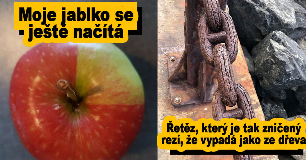 33 naprosto vyjímečných kuriozit, se kterými se lidé pochlubili na internetu Náhledový obrázek