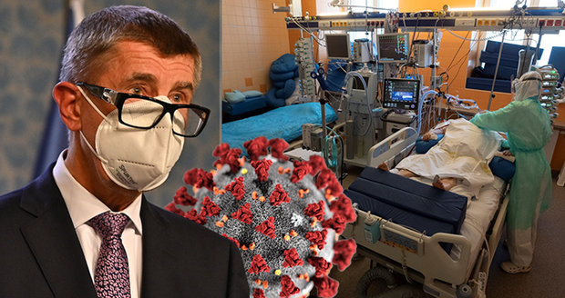 Lidé s touto krevní skupinou jsou proti koronaviru nejodolnější! Máte ji? Náhledový obrázek