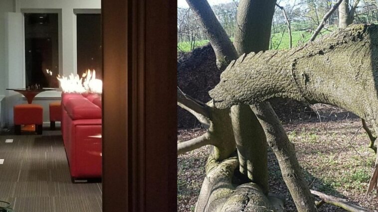 10+ fotek, které vás dokonale zmatou: Na co se vlastně teď koukáte? Náhledový obrázek