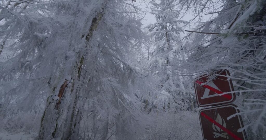 Poslední dny před tragédií. Takhle strávila poslední chvilky Jana s Adámkem. Tragédii nahlásila majitelka Náhledový obrázek