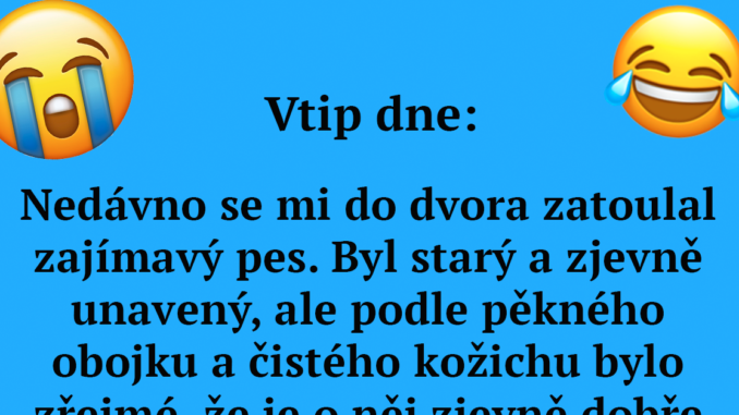 Vtip na dnešní den: Nedávno se mi do dvora zatoulal zajímavý pes Náhledový obrázek