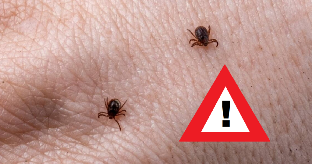 Tato věc přitahuje klíšťata jako magnet.  Nikdy si ji neberte s sebou do lesa Náhledový obrázek