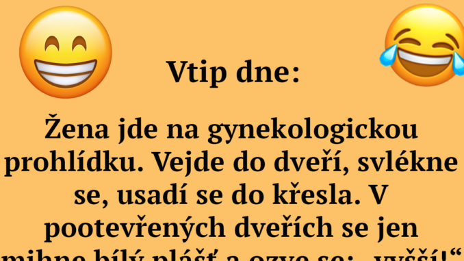 Vtip, který Vás rozhodně dostane! Žena jde na gynekologickou prohlídku Náhledový obrázek