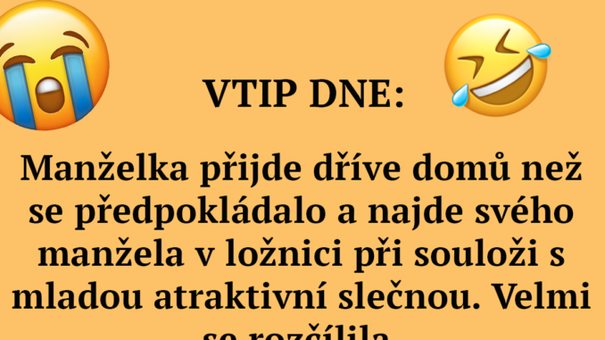 Vtip, který Vás vystřelí z bot: Manželka přijde dříve domů, než se předpokládalo a najde svého manžela Náhledový obrázek