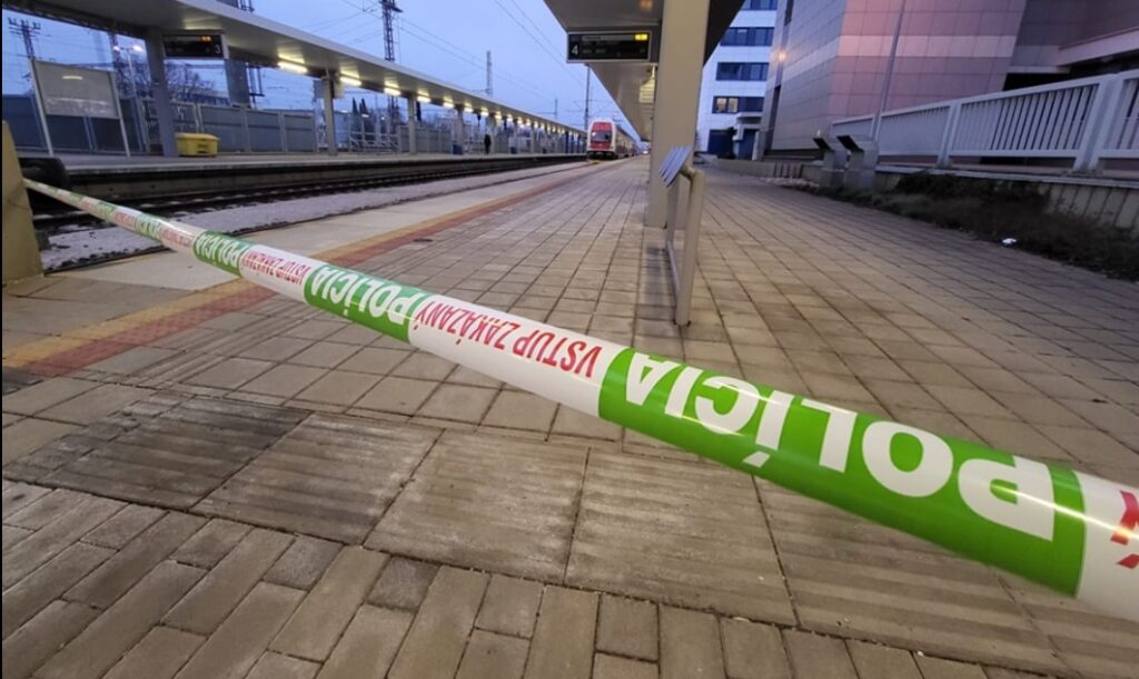 Tragédie na železniční trati! Ve vlaku se otevřely dveře. Pád nepřežil 22letý mladík Náhledový obrázek