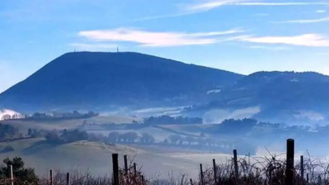 foto: wonderfulmarche