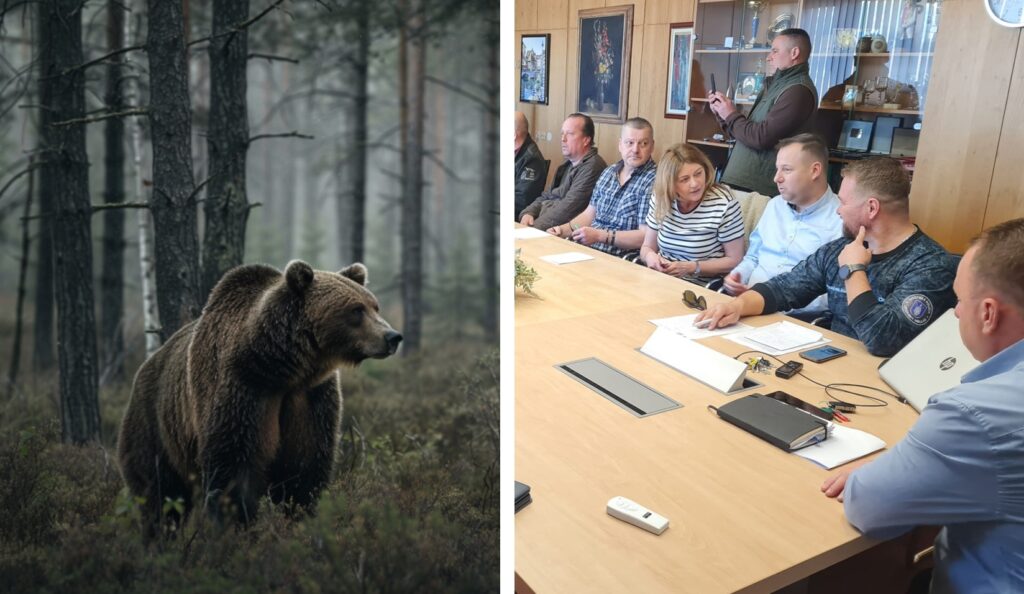 Medvěd napadl v centru města až pět lidí včetně desetileté dívky. Byl svolán krizový štáb Náhledový obrázek