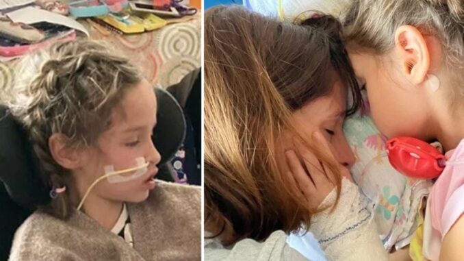 foto: Nadační fond Nina