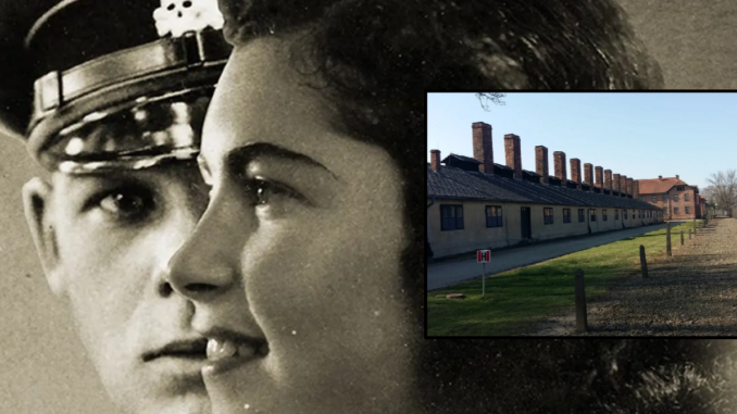 foto: facebook.com, youtube.com/ koláž: novinkov.cz