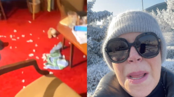 foto: instagram.com/ koláž: novinkov.cz