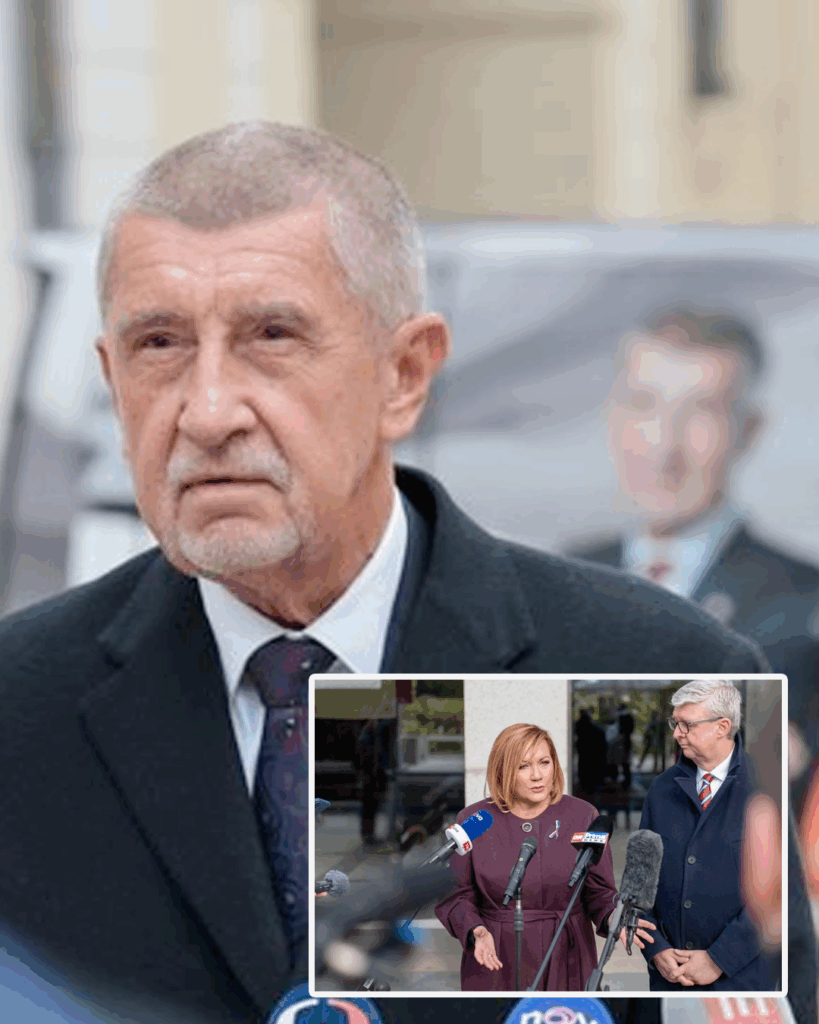 Babišova vláda slibuje: Žádné daně ani euro! Objevte detaily prohlášení! náhledový obrázek