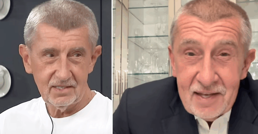 Andrej Babiš odhalil svůj majetek: Šokující příjmy a tajuplné investice! Náhledový obrázek