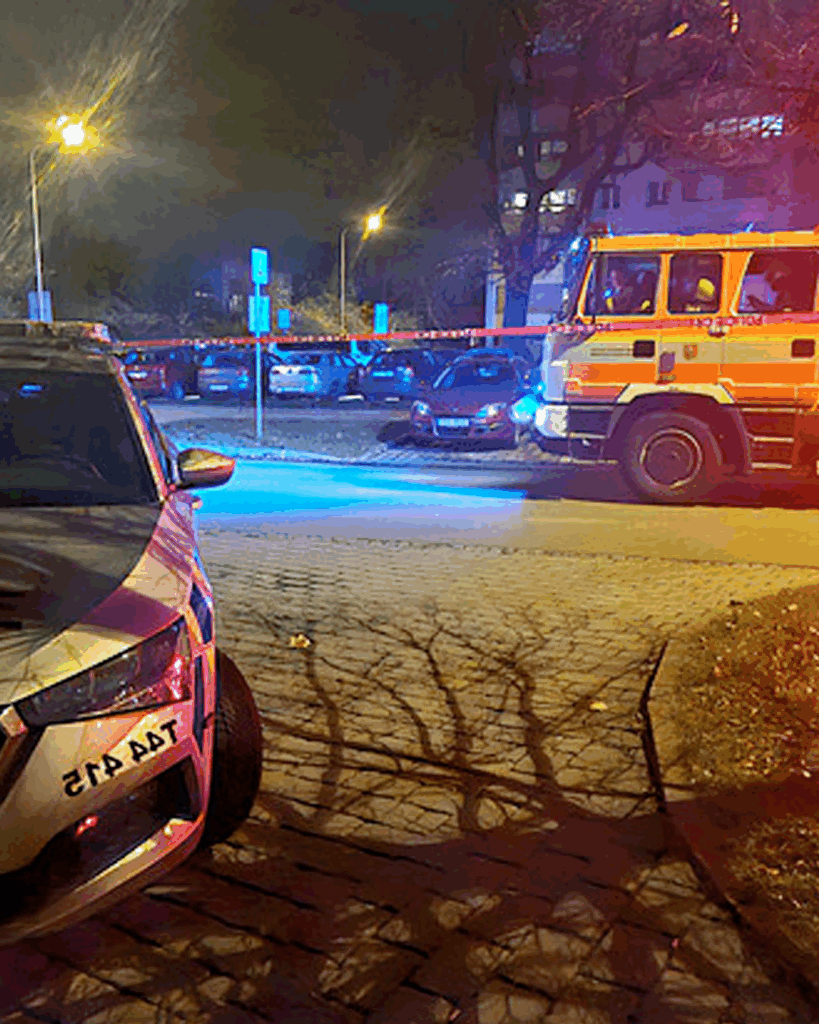 Zoufalá prosba kamarádky zavražděné ženy: Policie ji ignorovala! Přítelkyně odtajnila detaily náhledový obrázek